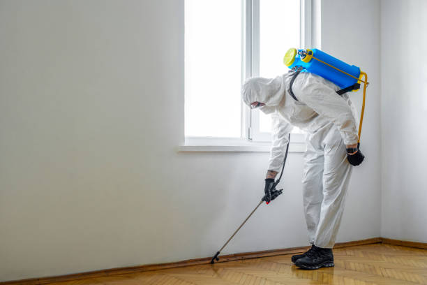 Emergency Pest Control in Bennett, CO